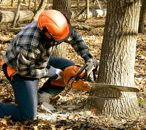Storm Damage Cleanup crew at work